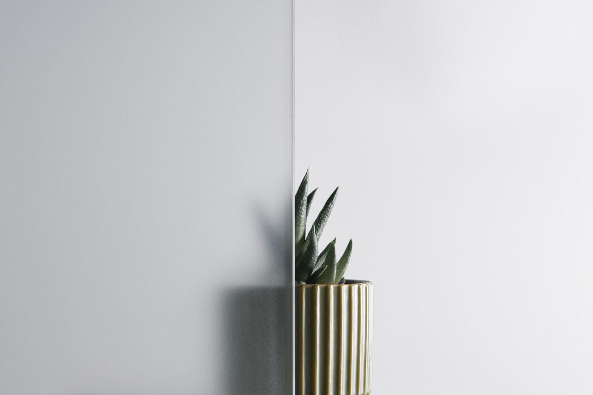Cristal esmerilado junto a una maceta de cerámica con una planta, ejemplo de diseño minimalista y espacio en calma